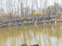 -合肥滨湖国家森林公园