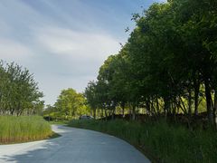 -春花秋色城市公园