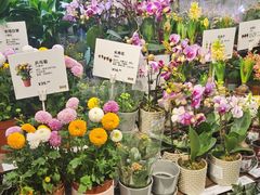 -IKEA宜家家居(南京商场)