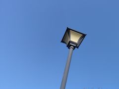-黄埔油麻山森林公园