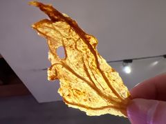 -曲廊院(东四十一条店)