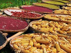 -新安江山水画廊风景区