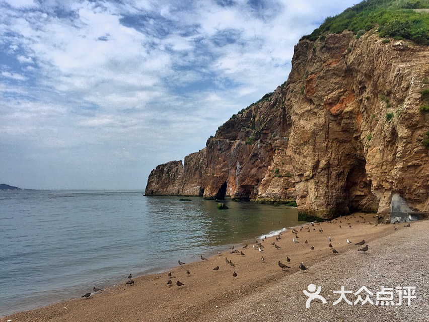 海驢島-圖片-榮成周邊遊-大眾點評網