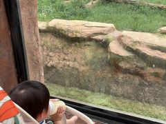 -武汉动物园