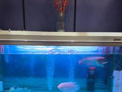 -梵SPA·影院足道·采耳(西藏北路店)