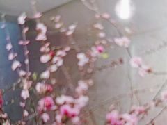 -王府茶楼茶宴·创意菜(大观园总店)