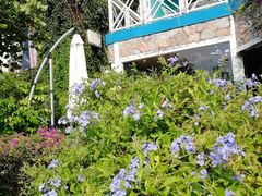 -深圳海边小筑客栈