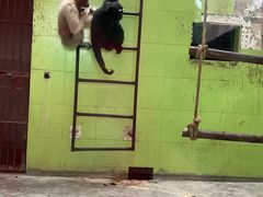 -石家庄市动物园