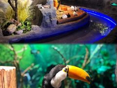 -浙江自然博物院(杭州馆)