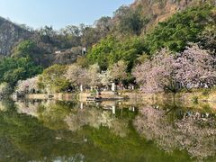 -星湖旅游景区七星岩