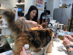 -玫瑰咖啡(中山六路店)