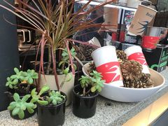 -BeauTea水仙(coco park店)