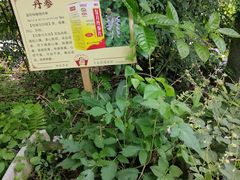 -广州神农草堂中医药博物馆