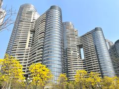 -洲头咀公园