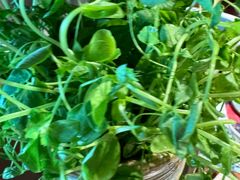 -牛村来人潮汕牛肉火锅(西单店)