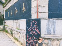 -秦岭风景区
