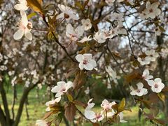 -蜀冈西峰生态公园