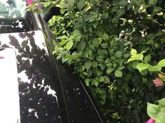 -汕尾巴黎半岛酒店