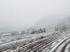 -太阳湾风景区
