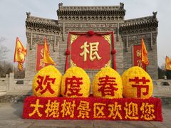 -大槐树寻根祭祖园