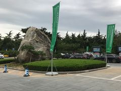 -山东大厦