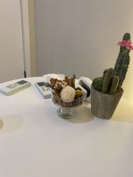 -VE专注问题肌·赛诺龙&科学美肤中心