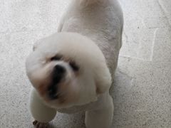 -宠颐生宠物医院·异宠猫科内科·诊疗中心宠巢店