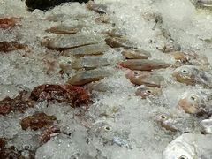 甘蔗炖排骨-森记鱼粥