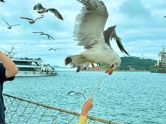 -海驴岛(荣成市)