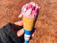 -郑州方特梦幻王国