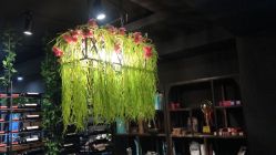 点击看大图 -藤野造型