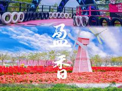 -盈香心动乐园