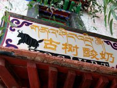 门面-古树酸奶(八廓南街店)