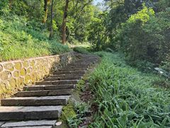 -黄埔油麻山森林公园