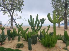 -大梅沙海滨公园