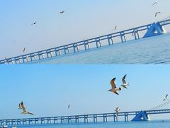 -星海广场