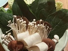 -额尔敦传统涮(光明路店)