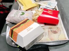 -麦当劳(北京大兴机场二层国内到达(安检外)店)