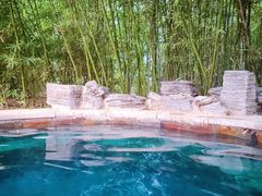 -中家鑫园温泉酒店鑫悦汤泉