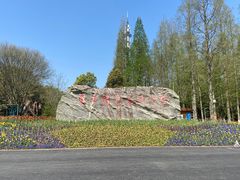 -东平国家森林公园