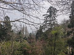 -莫干山风景区