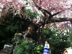 -盛泰恐龙谷温泉