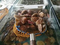 -四海鲜渔家菜(黄金海岸店)