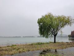 -渤公岛生态公园