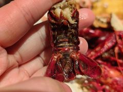 -鼎香缘海鲜自助火锅烤肉(锦辉购物广场店)