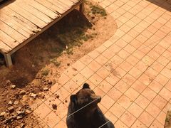 -昆明动物园