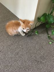 -尚美日式美甲美睫工作室