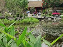 -顺峰山公园