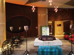 -南京禄口机场雅高铂尔曼大酒店