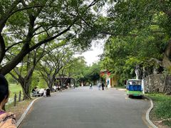 -星湖旅游景区七星岩